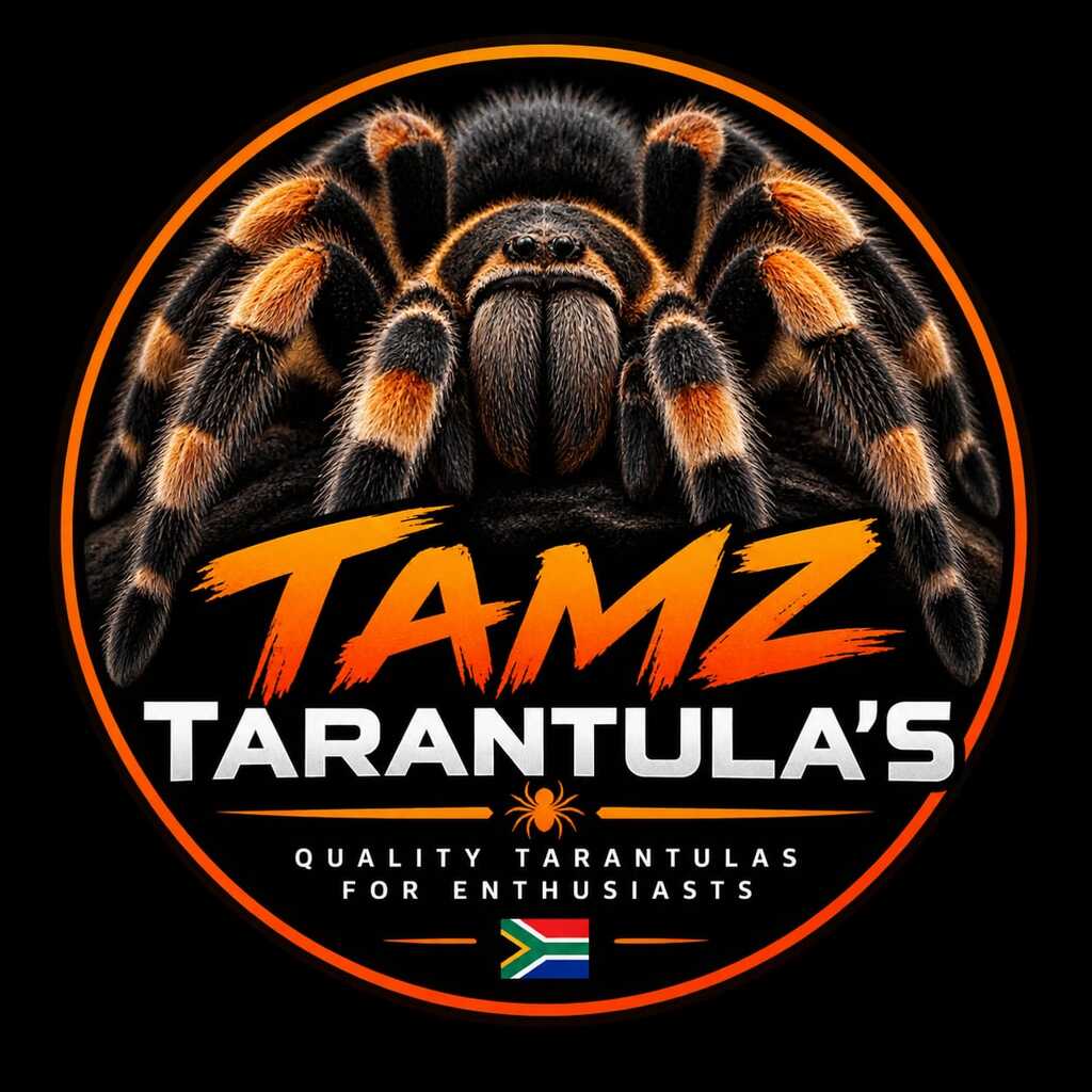 tamztarantulas.co.za